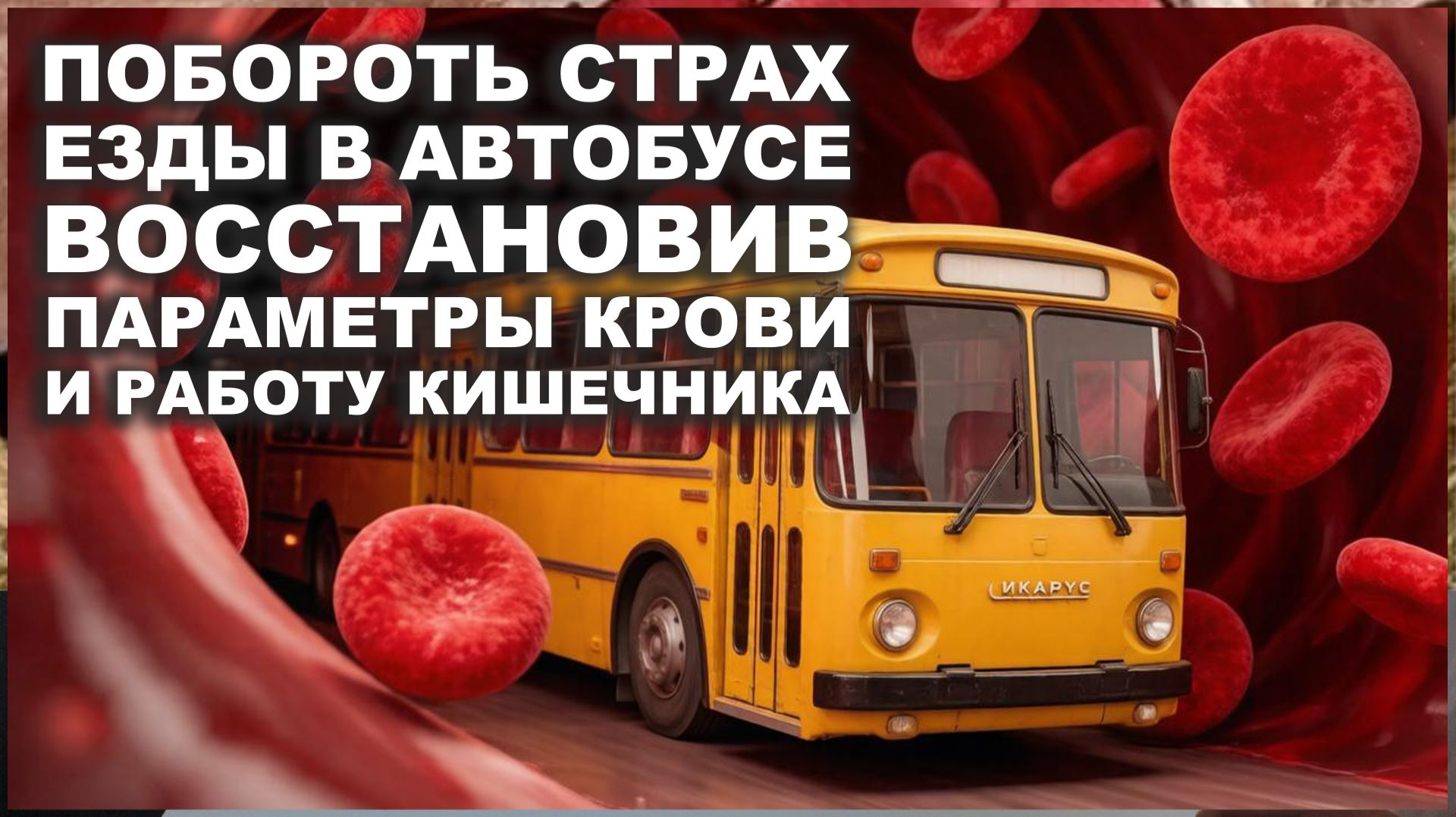 Анемия довела Валентину до страха ездить в автобусе из-за проблем со здоровьем. Отзыв ЖЖ + ЭТРА