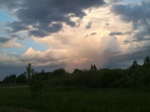 Просто стрим с лп