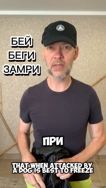 АЛИКИН: «Бей, беги, замри и ментальные страхи и границы. Делай то, что не можешь не делать.»