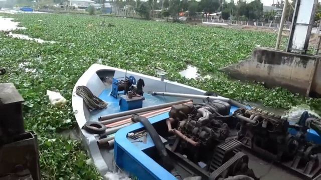 Плотные Водные .Растения Покрывают Шлюз Плотины И Останавливают Лодки