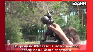 Белка-спортсмен поселилась на входе ФОКа
