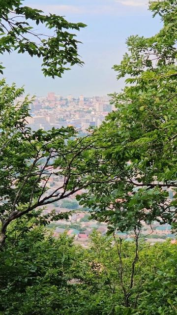 Махачкала, на склонах Тарки-Тау