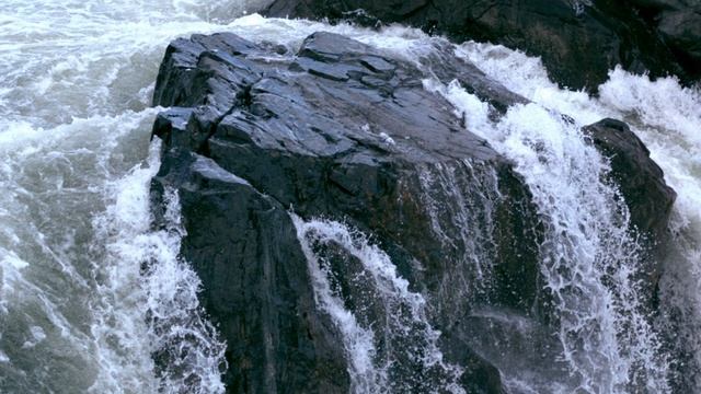 'Ветер водит хоровод'