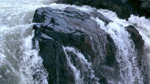 'Ветер водит хоровод'