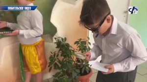 Команда Иванковской школы одержала победу в областном конкурсе «Лучшая школьная столовая»