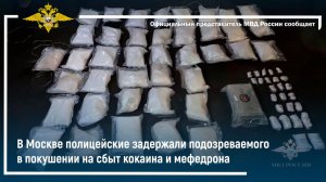 В Москве полицейские задержали подозреваемого в покушении на сбыт кокаина и мефедрона