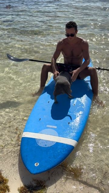 А вы в этом году едете на море? 🏝