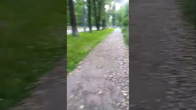 вечерний стрим смотреть онлайн
