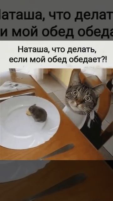 БЫВАЕТ