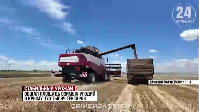 Сбор ранних зерновых и зернобобовых культур стартовал в Крыму