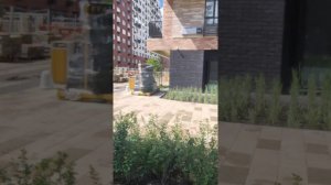 Поехали в город