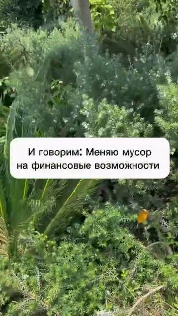 В такие дни делаем Практику Обменник. Подробнее в комментариях