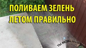 Как правильно поливать Зелень Летом в открытом грунте