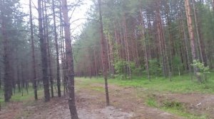Удивительный случай на ЖД вокзале или выбор отца по русски