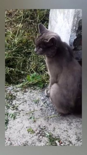 Россия. Сибирь. Ангарск. Еловское водохранилище. 15.06.2026г.