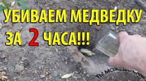 Как избавиться от медведки в огороде за 2 часа! СУПЕР Способ