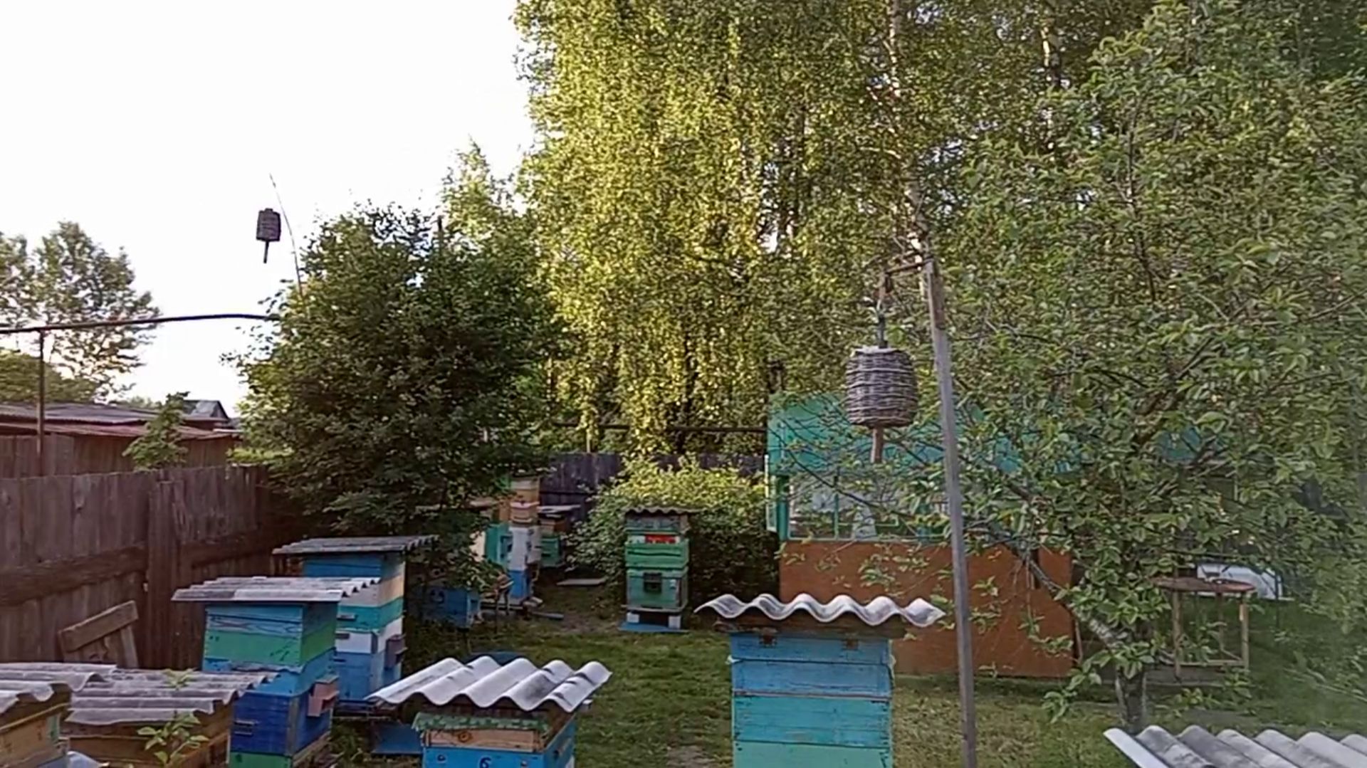 Вечером на Пасеке смотреть онлайн