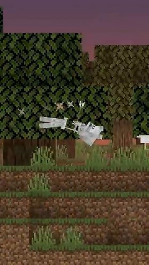 Ricochet - An Actual Short
