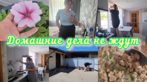 ВОПРОС, ИНТЕРЕСУЮЩИЙ МНОГИХ❓️ОБЗОР ЛЕТНИХ ВЕЩЕЙ ОЗОН👗ОТВЕЧАЮ НА КОММЕНТАРИИ📨