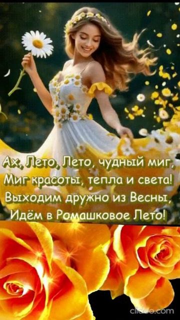 АХ...  КРАСАВИЦЫ....  Shorts.
