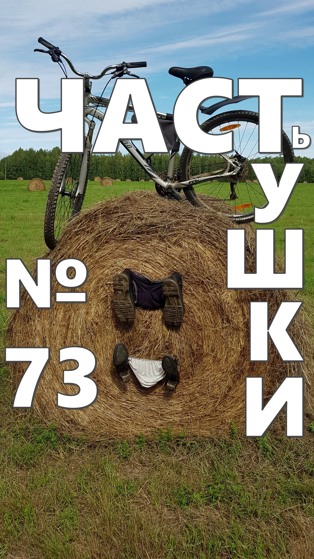 2-я скрипка