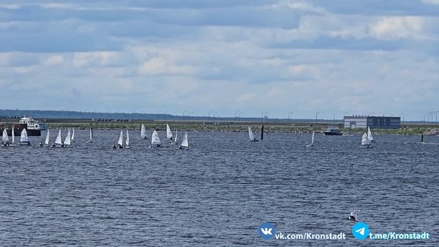 Общий фон с 13-го Международного военно-морского салона «Флот-2026» в Кронштадте. 14.06.2026 г.