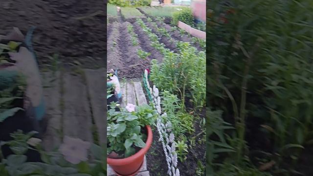 На улице летоа мы приболели.