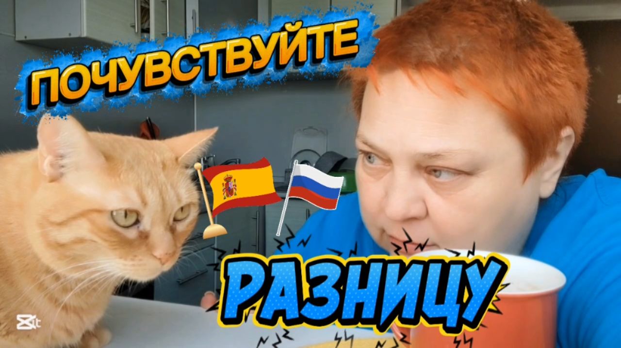 Соседские РАЗБОРКИ 💯 Это МОЙ личный ОПЫТ!
