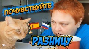 Соседские РАЗБОРКИ 💯 Это МОЙ личный ОПЫТ!