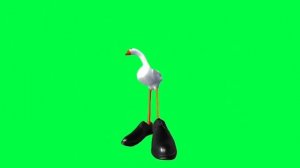 ????