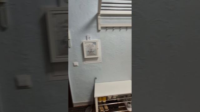 5050.mp4 смотреть онлайн