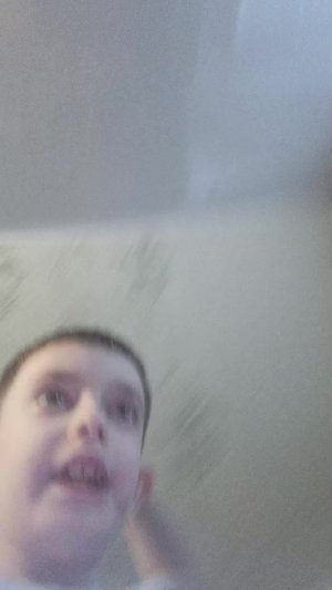 говорю о питомцах