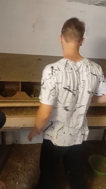 Курятник приносит прибыль!