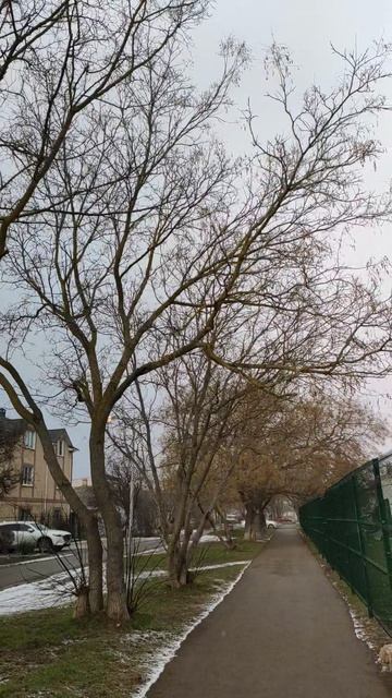 Вот такой день в городе Евпатория | 20 января 2022 год | Крым | ХАН БАТОН | VID_20220124_145550