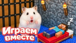 ХОМЯК ВЫБИРАЕТСЯ ИЗ СЕКРЕТНОЙ ХОМЯЧЕЙ ТЮРЬМЫ ! Забавные животные ! Супер лабиринт для хомяка №23