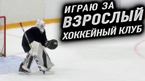 Тигры