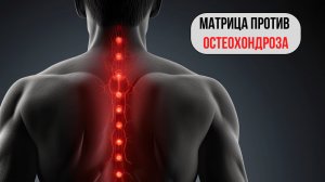 🛡️ МАТРИЦА «ПРОТИВ ОСТЕОХОНДРОЗА» — Волновая Генетика ✨