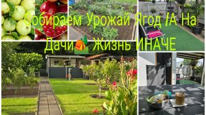 VLOG 🇩🇪 Наша Дача в Германии 🏕 РАБОТА на Дачи Кипит /Всё хорошо растёт В Открытом Грунти огурцы ‼