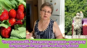 Что купили на ВБ. Как я делаю перевязки. Опыт сразу не приходит. Огород зовёт на сбор клубники