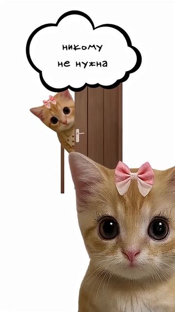 котята пояснят