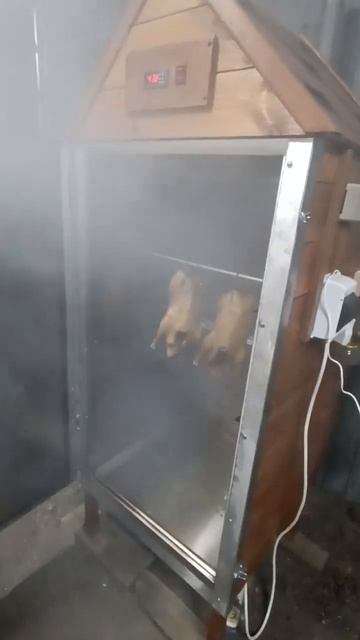 домашняя каптильня