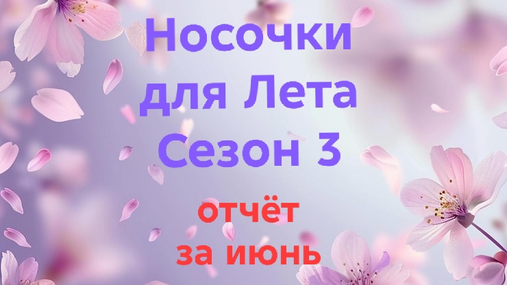 15-06-2026🧦СП Носочки для Лета 🧦Сезон 3🧦отчёт за июнь