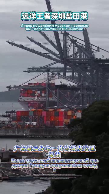 Секрет экономии на морских перевозках