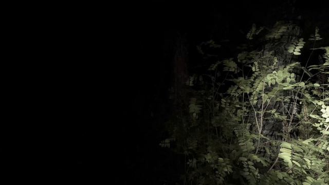 Трейлер Antichrist (демо, запуск)