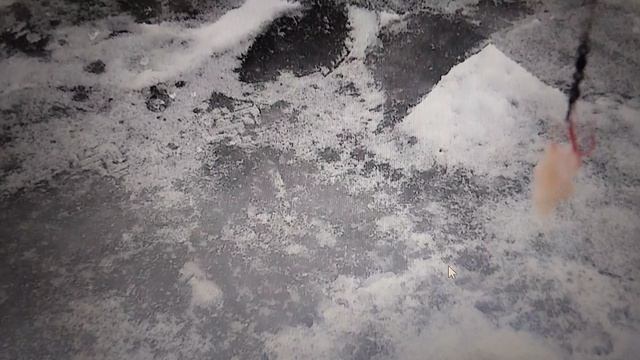 1000243413.mp4