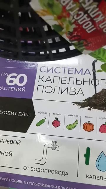 17922747402912