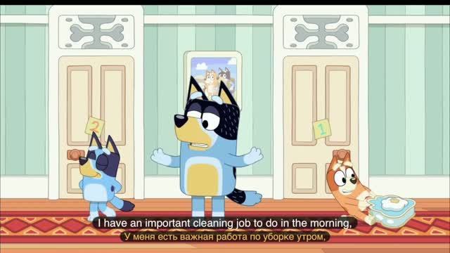 Rooms. Bluey