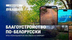 Белорусы лишаются скверов и парков! Куда смотрит местная власть? В понедельник дойдет до Лукашенко!