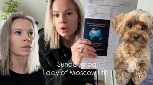 Ветклиника 🐕 Sunday vlog | Собираем чемодан в командировку 🧳 Быстрый ужин в аэрогриле Мукбанг
