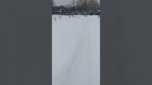 VID_20260217_105716